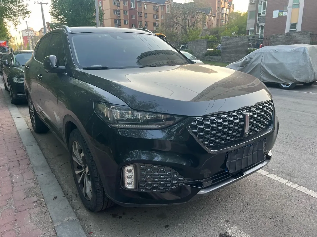 2019 WEY VV6 2.0T 224HP L4 7DCT,autocango,china used car exporter,china ev exporter,chinese used car exporter,chinese used ev exporter