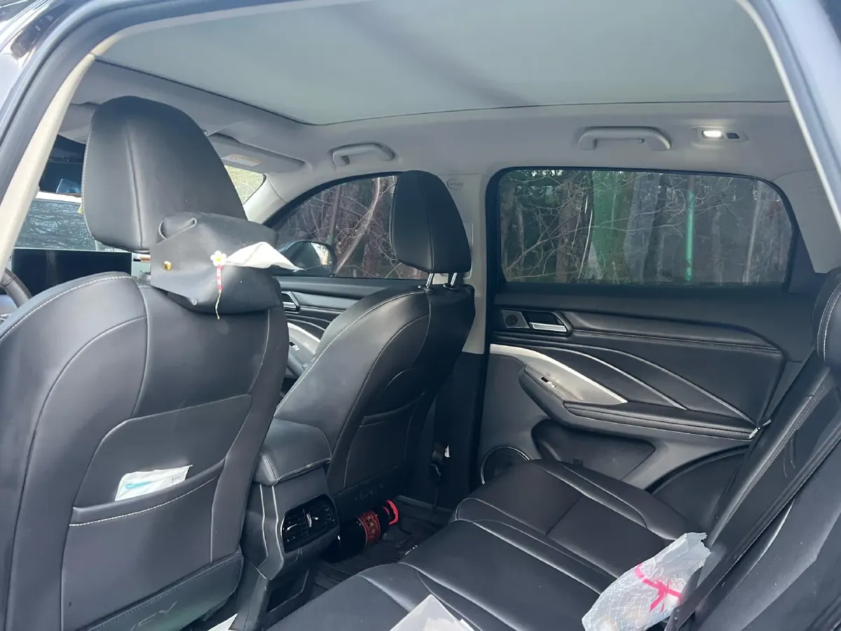 2019 WEY VV6 2.0T 224HP L4 7DCT,autocango,china used car exporter,china ev exporter,chinese used car exporter,chinese used ev exporter