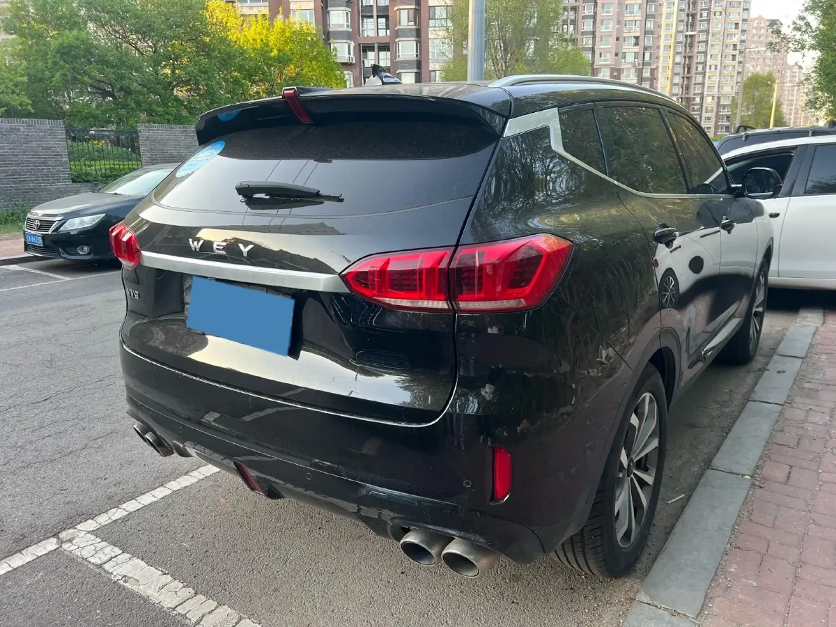 2019 WEY VV6 2.0T 224HP L4 7DCT,autocango,china used car exporter,china ev exporter,chinese used car exporter,chinese used ev exporter