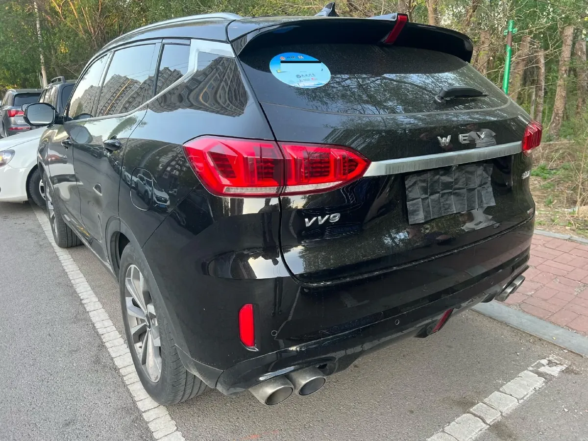 2019 WEY VV6 2.0T 224HP L4 7DCT,autocango,china used car exporter,china ev exporter,chinese used car exporter,chinese used ev exporter