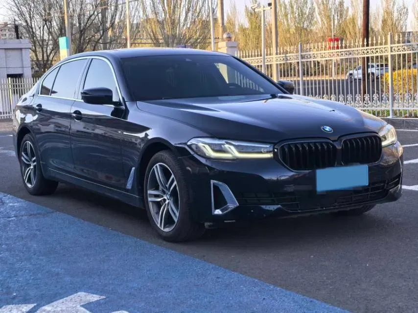 2021 BMW 5 Series 2.0T 252HP L4 8AT,autocango,china used car exporter,china ev exporter,chinese used car exporter,chinese used ev exporter