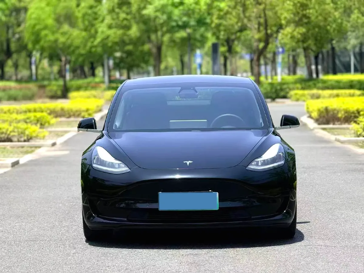 2020 Tesla Model 3 BEV 52KWH,autocango,china used car exporter,china ev exporter,chinese used car exporter,chinese used ev exporter
