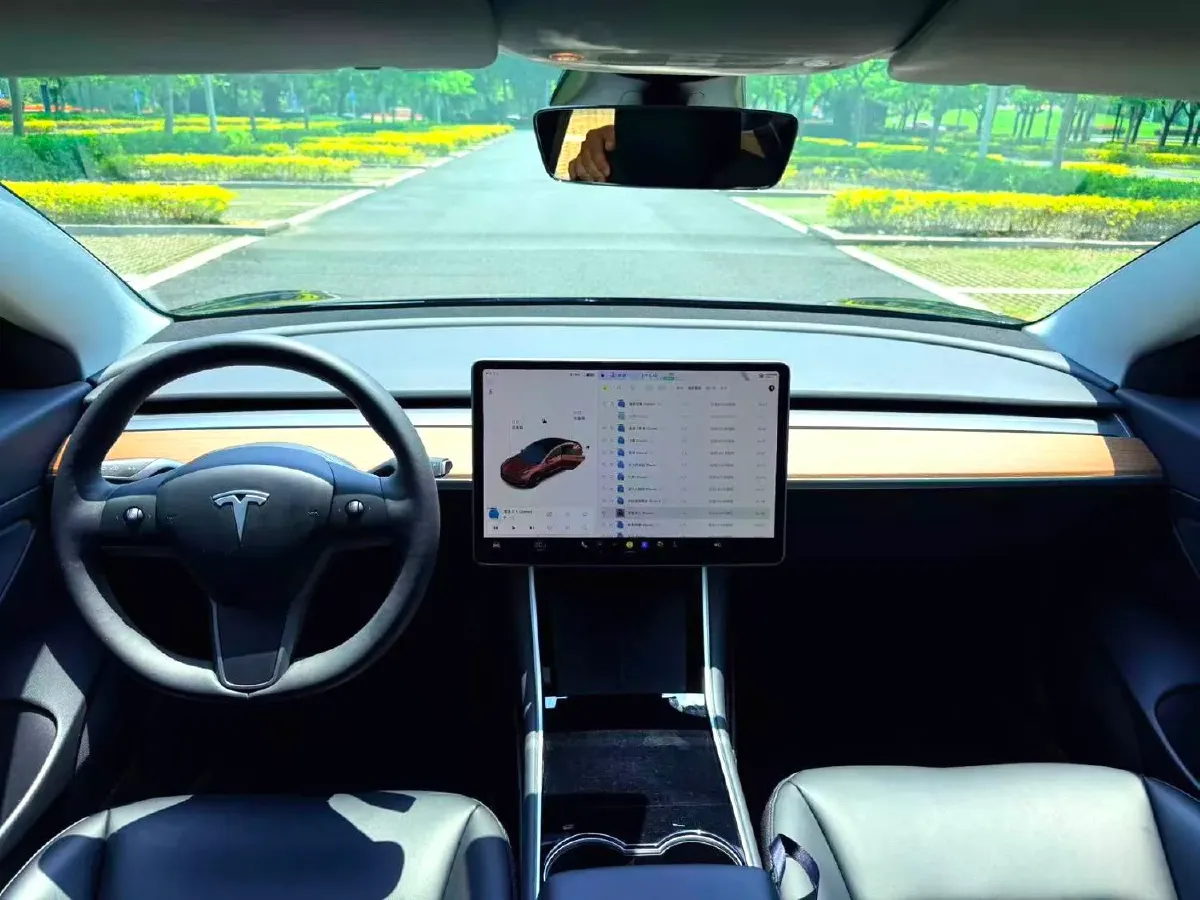 2020 Tesla Model 3 BEV 52KWH,autocango,china used car exporter,china ev exporter,chinese used car exporter,chinese used ev exporter