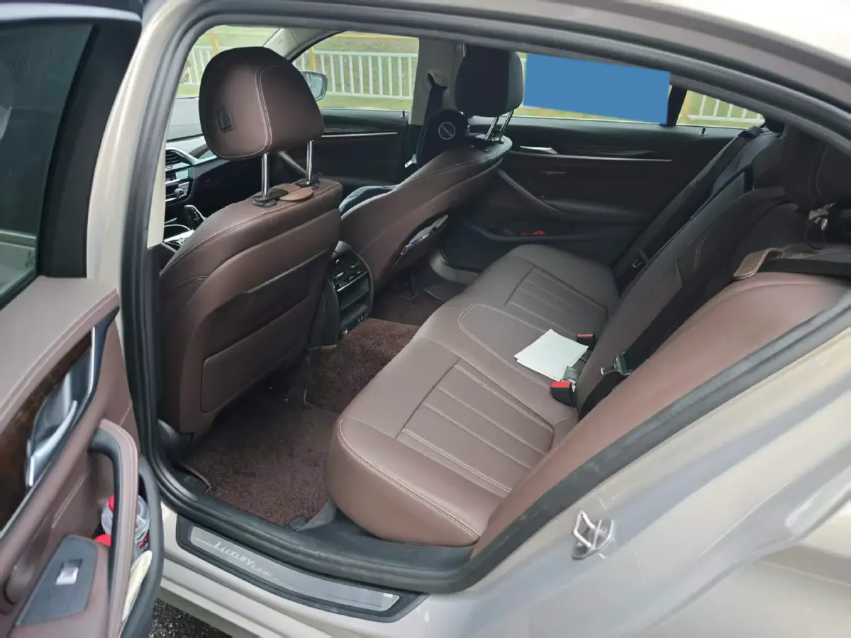 2020 BMW 5 Series 2.0T 184HP L4 8AT,autocango,china used car exporter,china ev exporter,chinese used car exporter,chinese used ev exporter