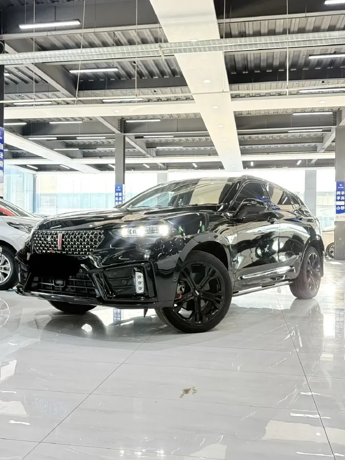 2021 WEY VV7 2.0T 227HP L4 7DCT,autocango,china used car exporter,china ev exporter,chinese used car exporter,chinese used ev exporter