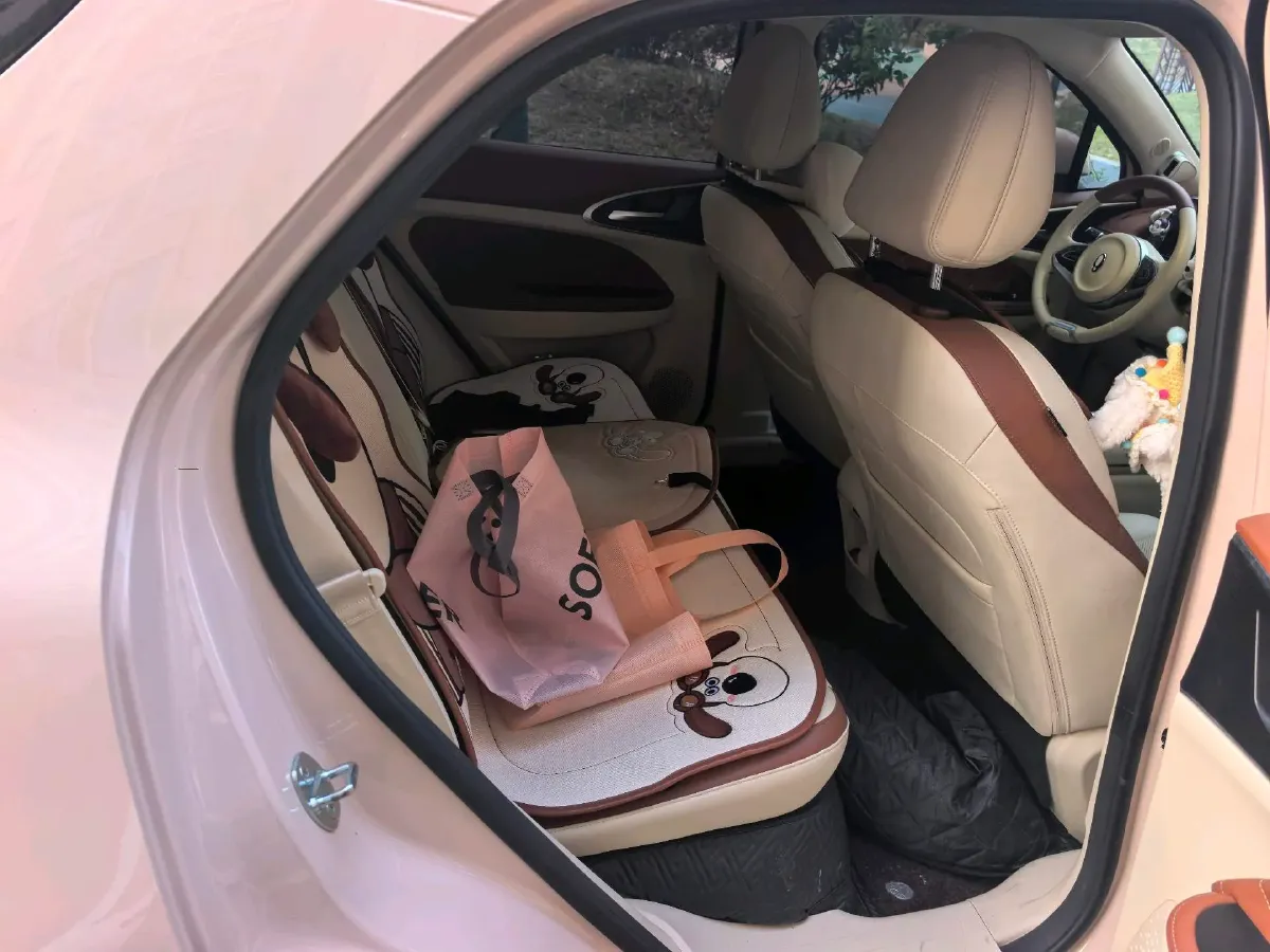 2023 Ora FunkyCat BEV 47.8KWH,autocango,china used car exporter,china ev exporter,chinese used car exporter,chinese used ev exporter