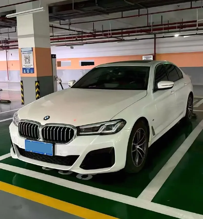2021 BMW 5 Series 2.0T 184HP L4 8AT,autocango,china used car exporter,china ev exporter,chinese used car exporter,chinese used ev exporter