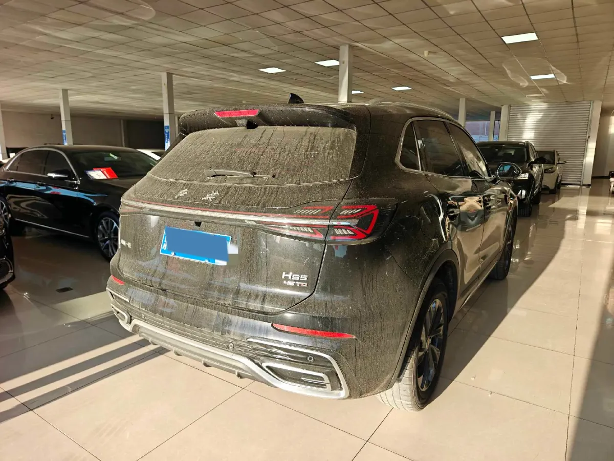 2025 HongQi HS5 2.0T 252HP L4 8AT,autocango,china used car exporter,china ev exporter,chinese used car exporter,chinese used ev exporter
