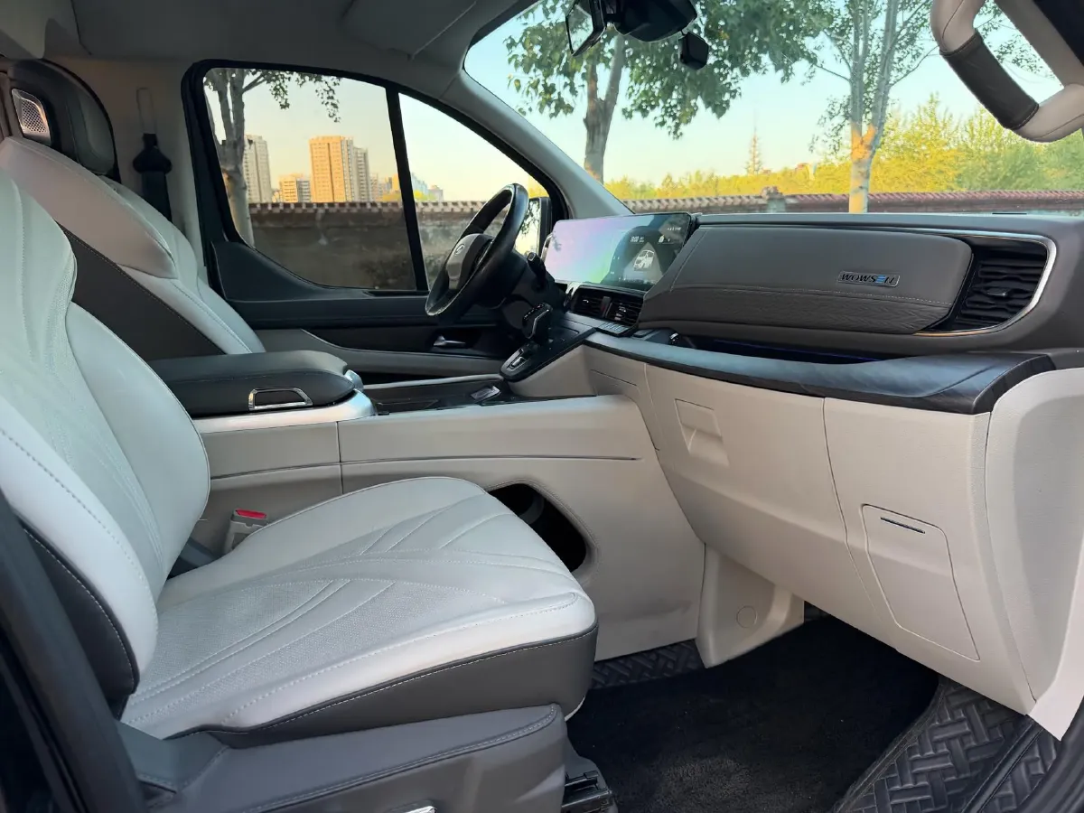 2024 Ford Tourneo 2.0T 220HP L4 9AT,autocango,china used car exporter,china ev exporter,chinese used car exporter,chinese used ev exporter