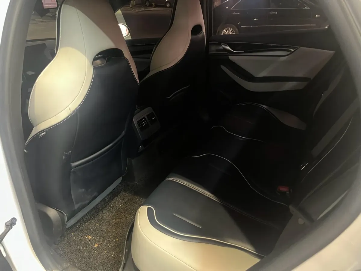 2021 DongFeng FuKang e Elysee BEV 30.7KWH,autocango,china used car exporter,china ev exporter,chinese used car exporter,chinese used ev exporter