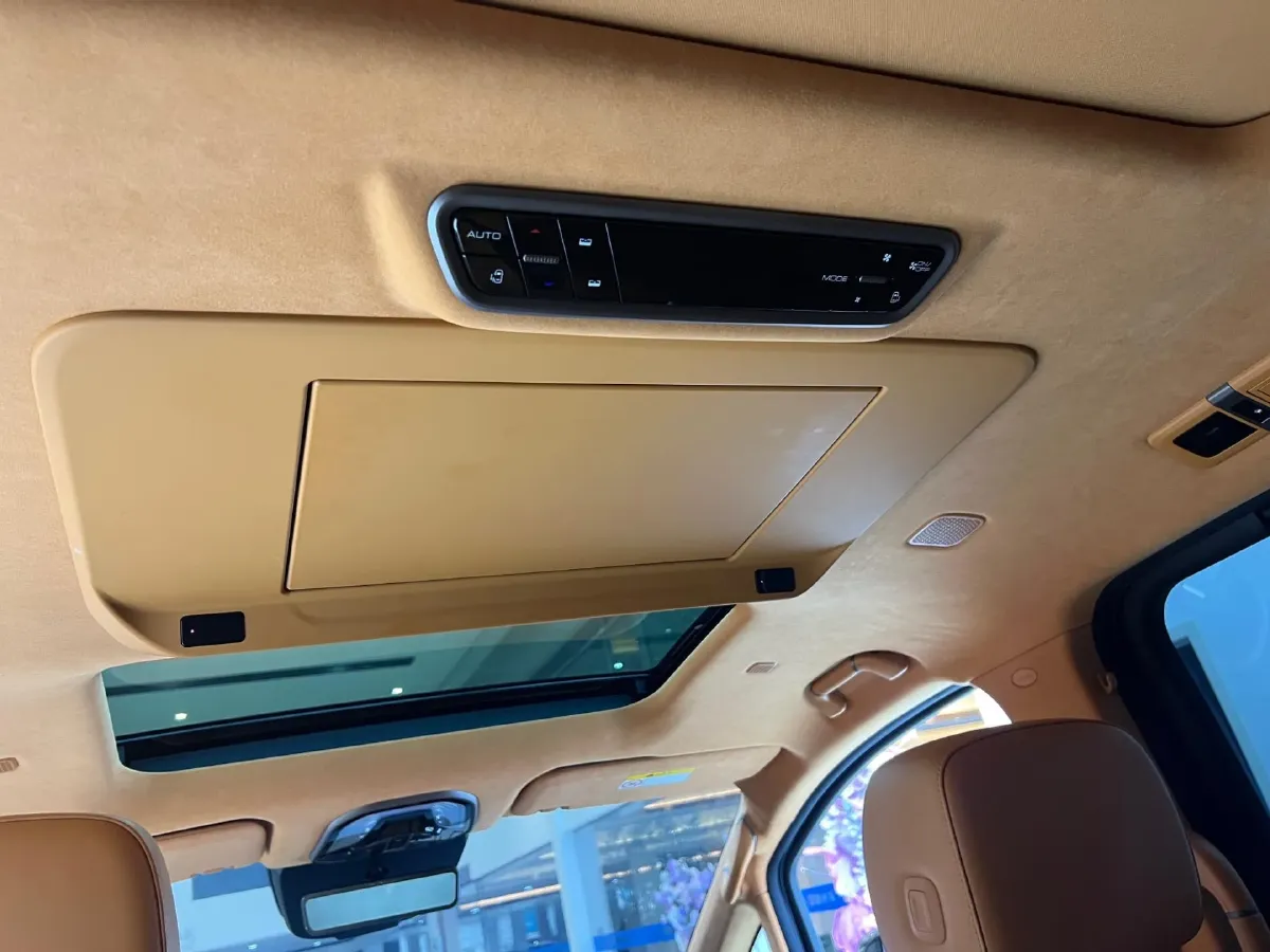 2025 WEY HighMountain 1.5T 170HP L4 4DHT PHEV,autocango,china used car exporter,china ev exporter,chinese used car exporter,chinese used ev exporter