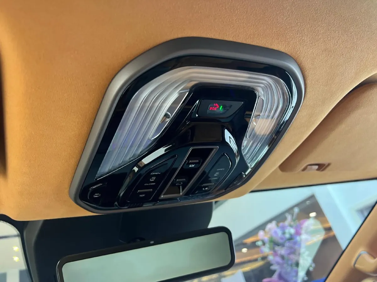 2025 WEY HighMountain 1.5T 170HP L4 4DHT PHEV,autocango,china used car exporter,china ev exporter,chinese used car exporter,chinese used ev exporter