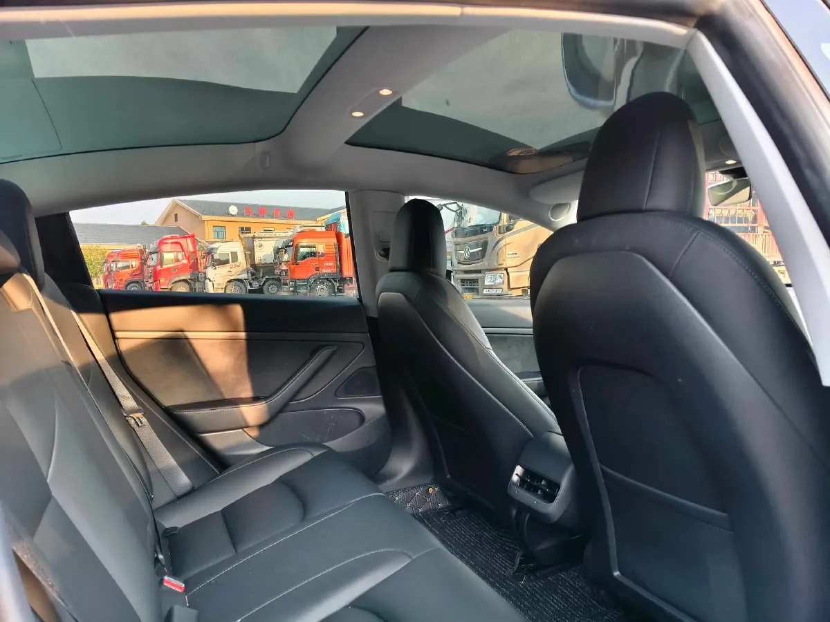 2020 Tesla Model 3 BEV 55KWH,autocango,china used car exporter,china ev exporter,chinese used car exporter,chinese used ev exporter