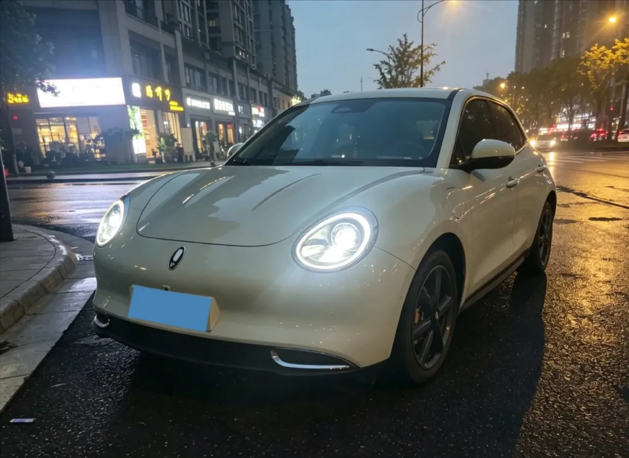 2024 Ora FunkyCat BEV 47.8KWH,autocango,china used car exporter,china ev exporter,chinese used car exporter,chinese used ev exporter