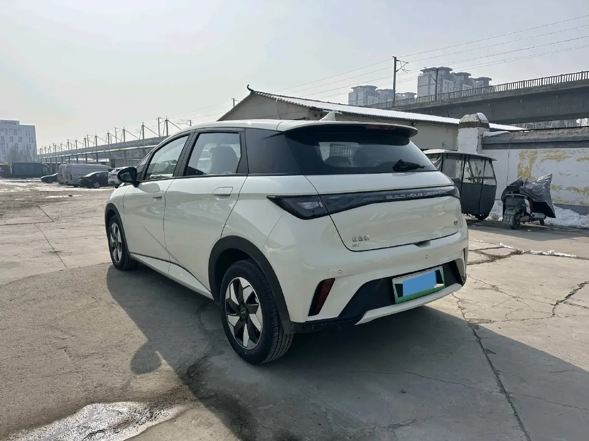 2025 BYD Dolphin BEV 44.928KWH,autocango,china used car exporter,china ev exporter,chinese used car exporter,chinese used ev exporter