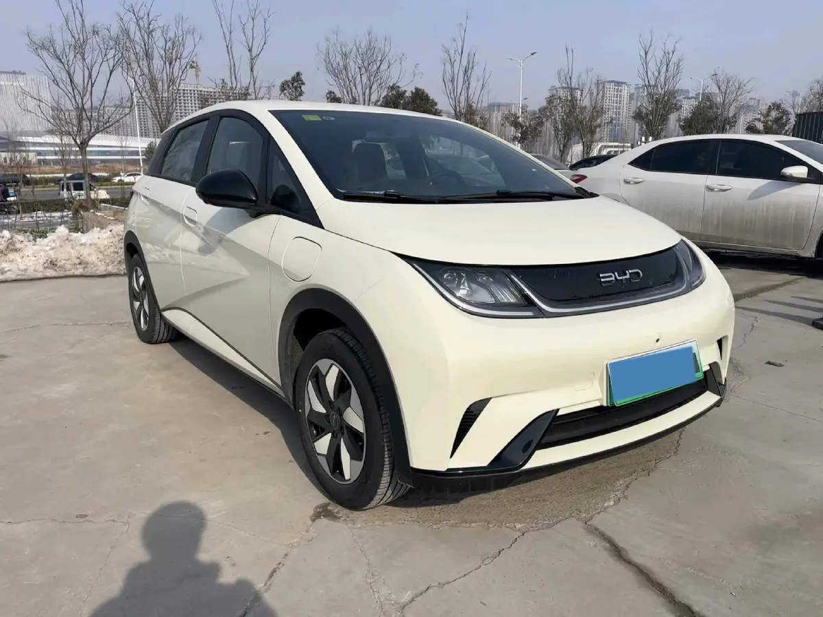 2025 BYD Dolphin BEV 44.928KWH,autocango,china used car exporter,china ev exporter,chinese used car exporter,chinese used ev exporter