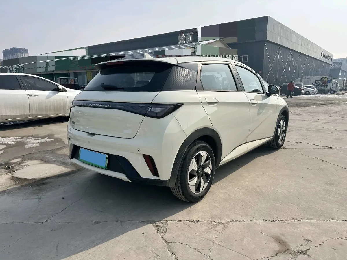 2025 BYD Dolphin BEV 44.928KWH,autocango,china used car exporter,china ev exporter,chinese used car exporter,chinese used ev exporter
