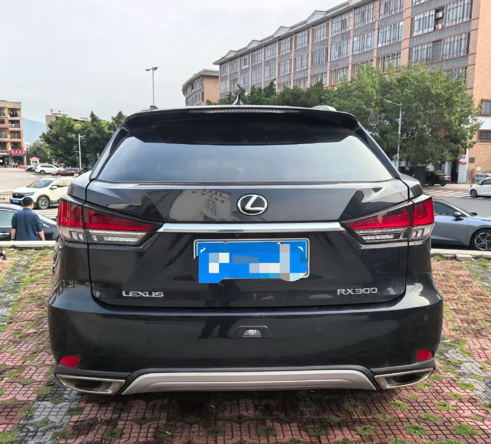 2020 Lexus RX 2.0T 231HP L4 6AT,autocango,china used car exporter,china ev exporter,chinese used car exporter,chinese used ev exporter