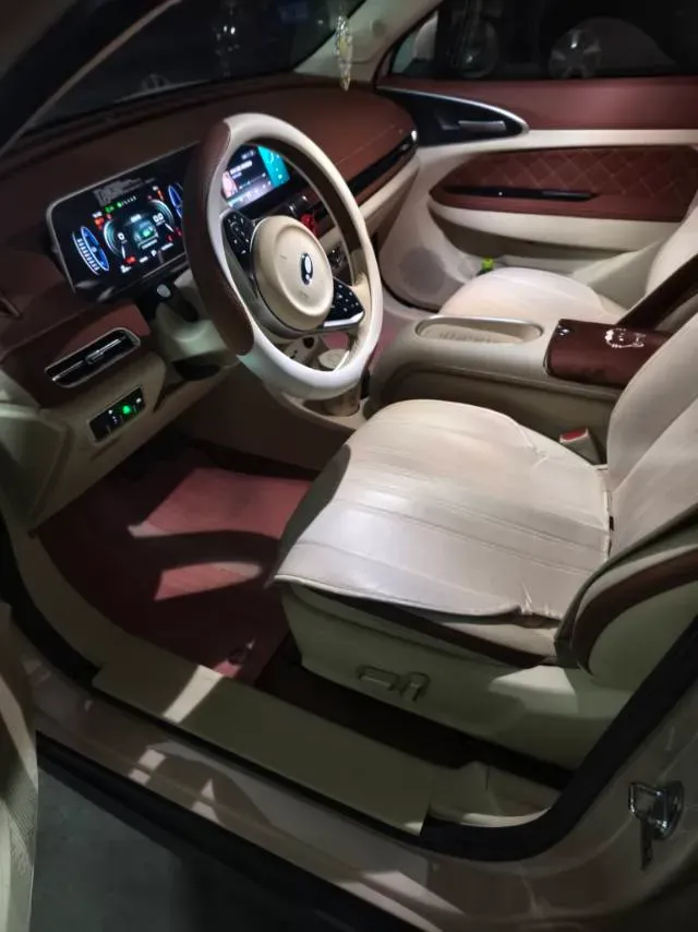 2024 Ora FunkyCat BEV 47.8KWH,autocango,china used car exporter,china ev exporter,chinese used car exporter,chinese used ev exporter