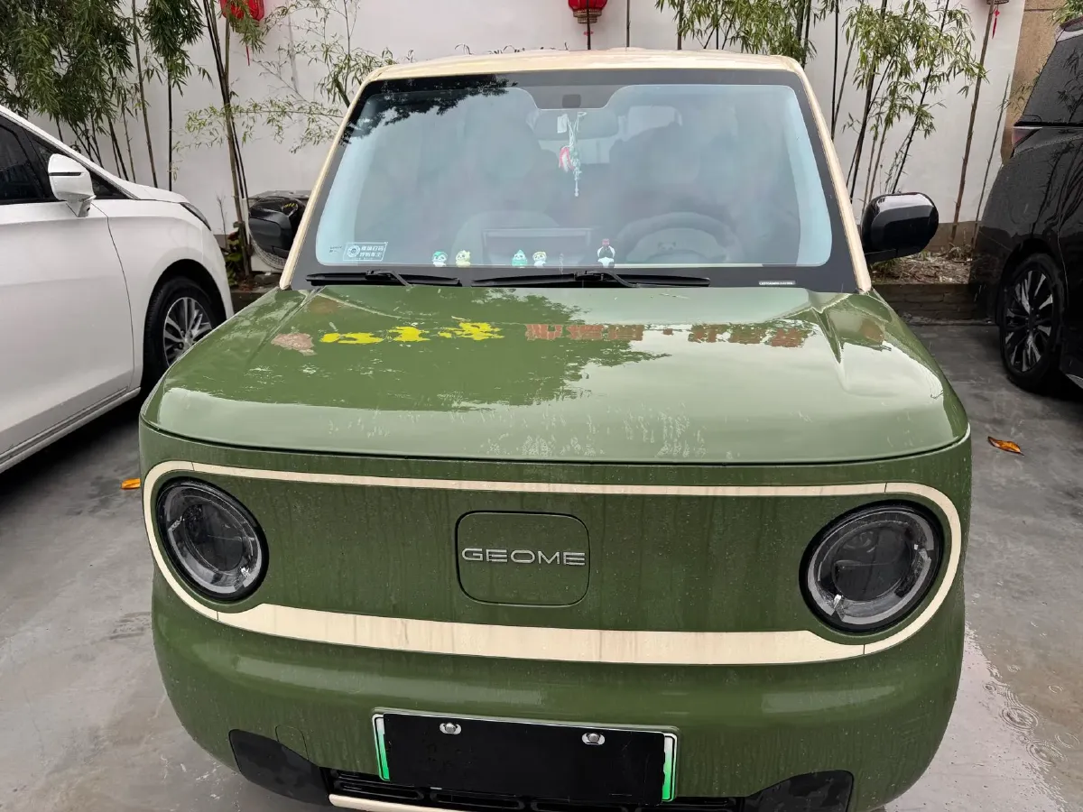 2024 Geely Galaxy Panda BEV 17.03KWH,autocango,china used car exporter,china ev exporter,chinese used car exporter,chinese used ev exporter