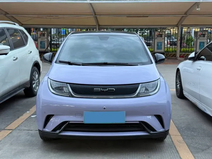 2023 BYD Dolphin BEV 44.928KWH,autocango,china used car exporter,china ev exporter,chinese used car exporter,chinese used ev exporter