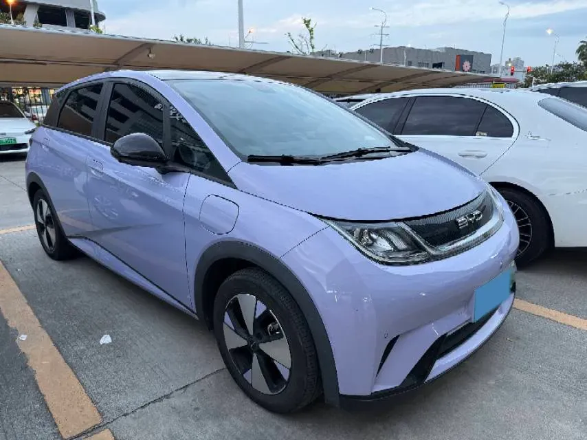 2023 BYD Dolphin BEV 44.928KWH,autocango,china used car exporter,china ev exporter,chinese used car exporter,chinese used ev exporter