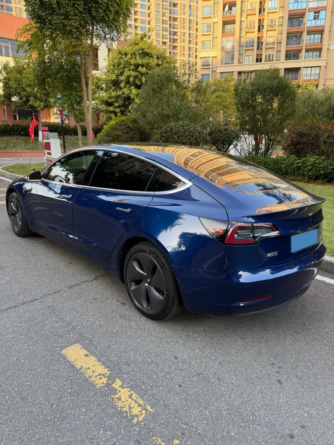2020 Tesla Model 3 BEV 52KWH,autocango,china used car exporter,china ev exporter,chinese used car exporter,chinese used ev exporter