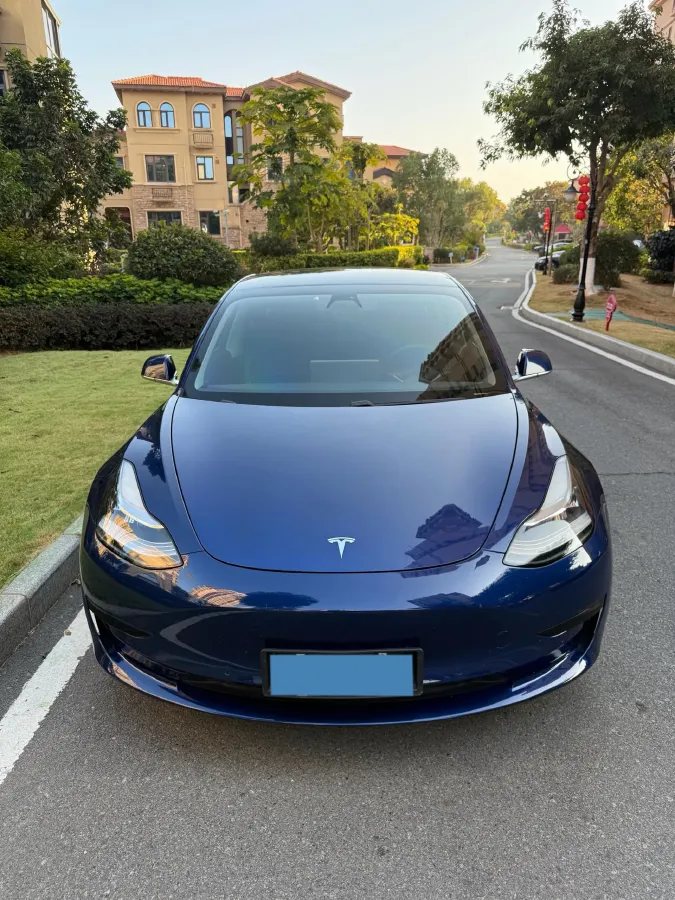 2020 Tesla Model 3 BEV 52KWH,autocango,china used car exporter,china ev exporter,chinese used car exporter,chinese used ev exporter