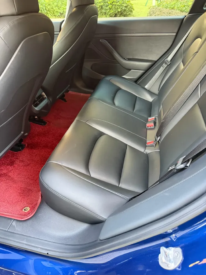 2020 Tesla Model 3 BEV 52KWH,autocango,china used car exporter,china ev exporter,chinese used car exporter,chinese used ev exporter