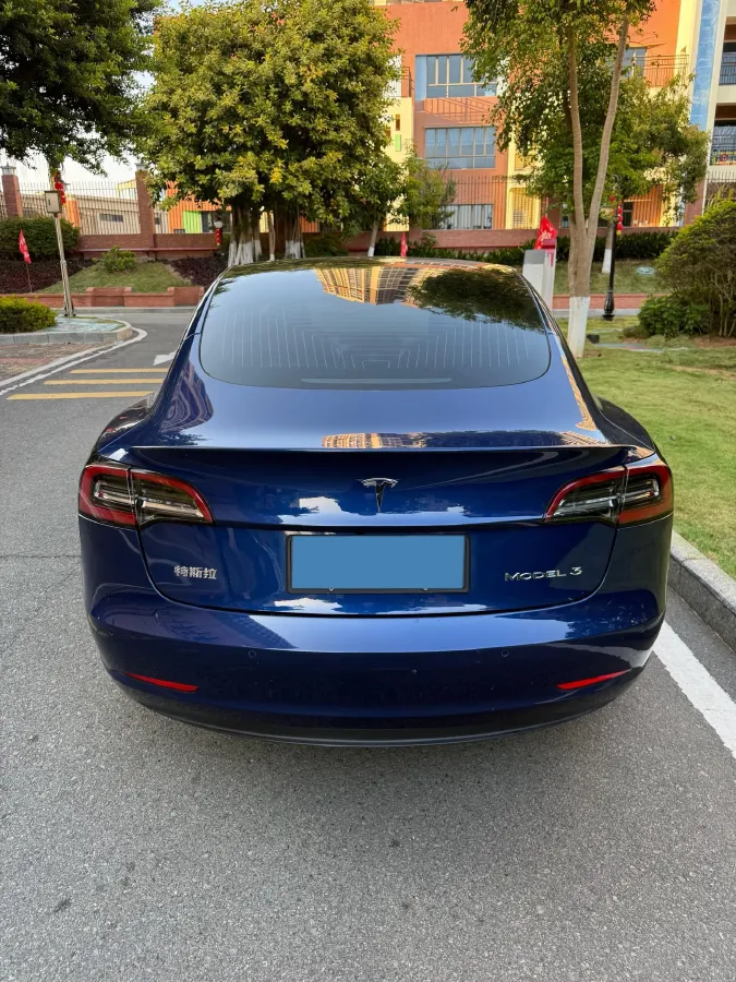 2020 Tesla Model 3 BEV 52KWH,autocango,china used car exporter,china ev exporter,chinese used car exporter,chinese used ev exporter