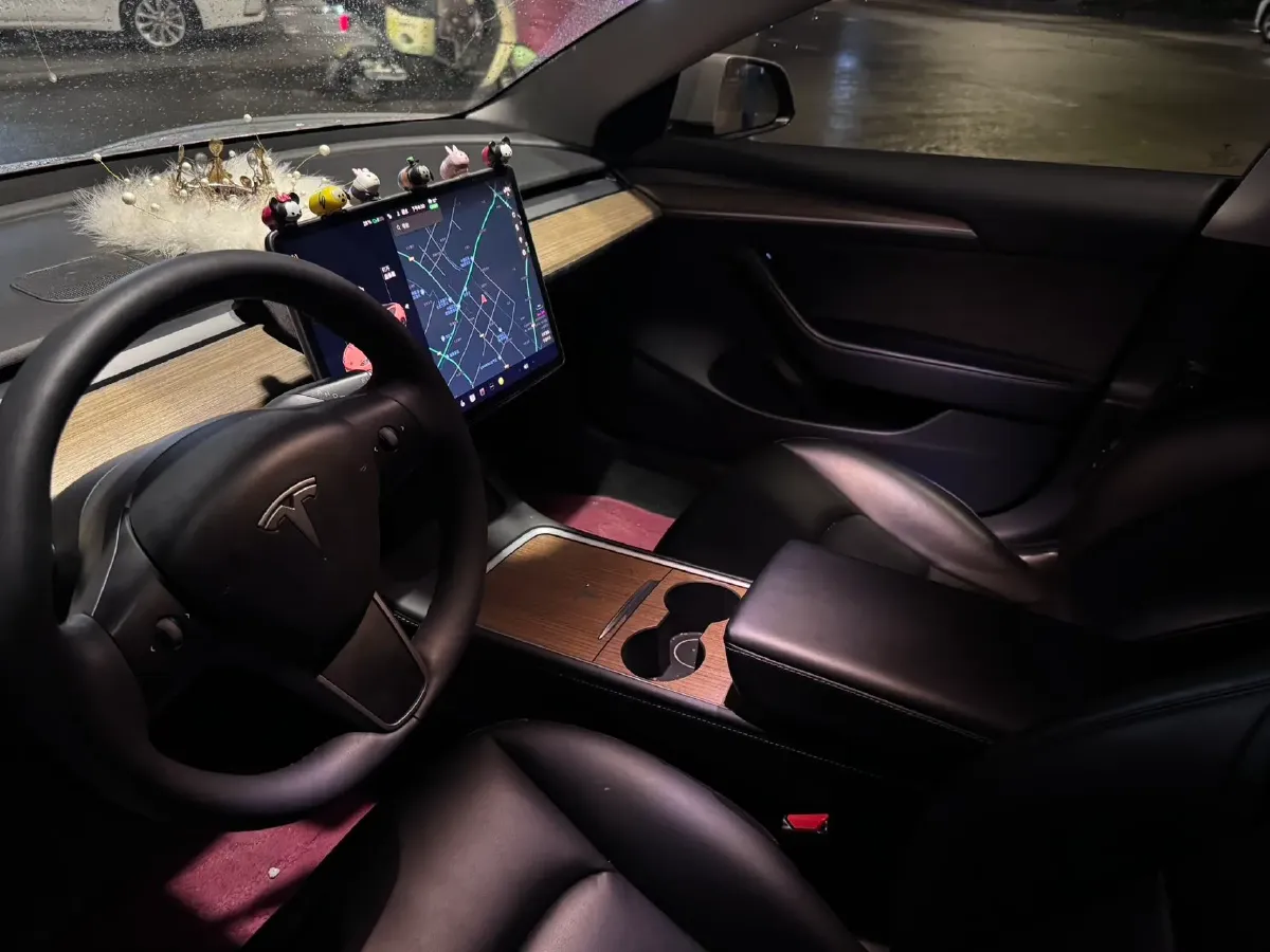 2021 Tesla Model 3 BEV 55KWH,autocango,china used car exporter,china ev exporter,chinese used car exporter,chinese used ev exporter