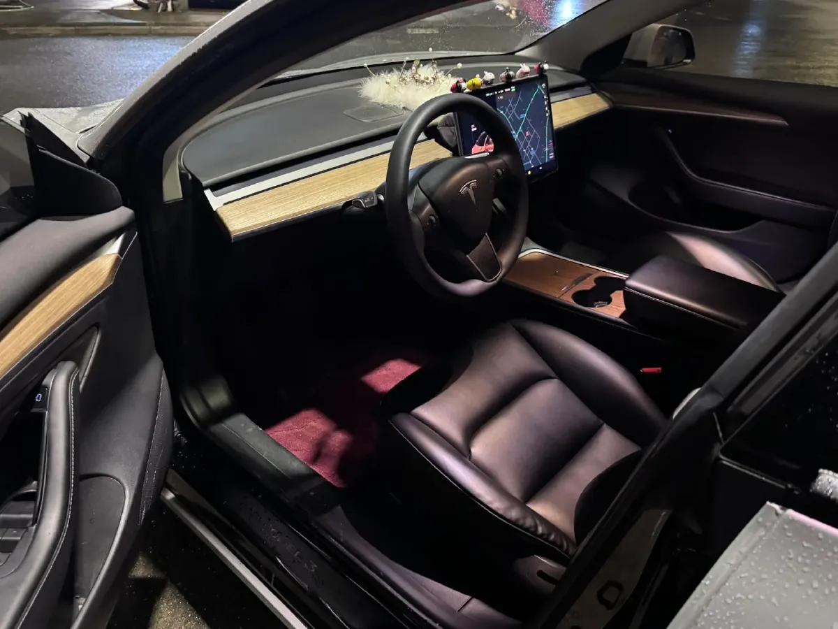 2021 Tesla Model 3 BEV 55KWH,autocango,china used car exporter,china ev exporter,chinese used car exporter,chinese used ev exporter