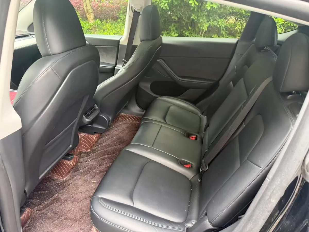 2021 Tesla Model 3 BEV 55KWH,autocango,china used car exporter,china ev exporter,chinese used car exporter,chinese used ev exporter