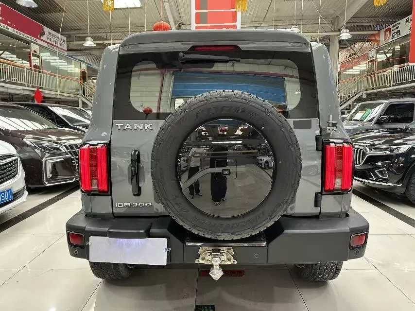 2021 Tank 300 2.0T 227HP L4 8AT,autocango,china used car exporter,china ev exporter,chinese used car exporter,chinese used ev exporter