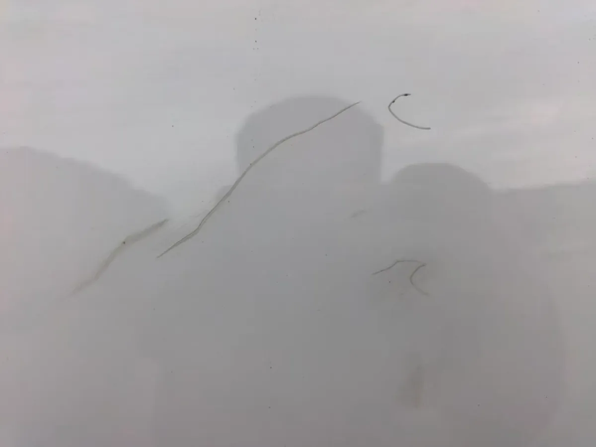 2022 Exceed TXL 2.0T 261HP L4 7DCT,autocango,china used car exporter,china ev exporter,chinese used car exporter,chinese used ev exporter