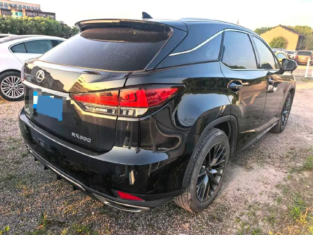 2020 Lexus RX 2.0T 231HP L4 6AT,autocango,china used car exporter,china ev exporter,chinese used car exporter,chinese used ev exporter