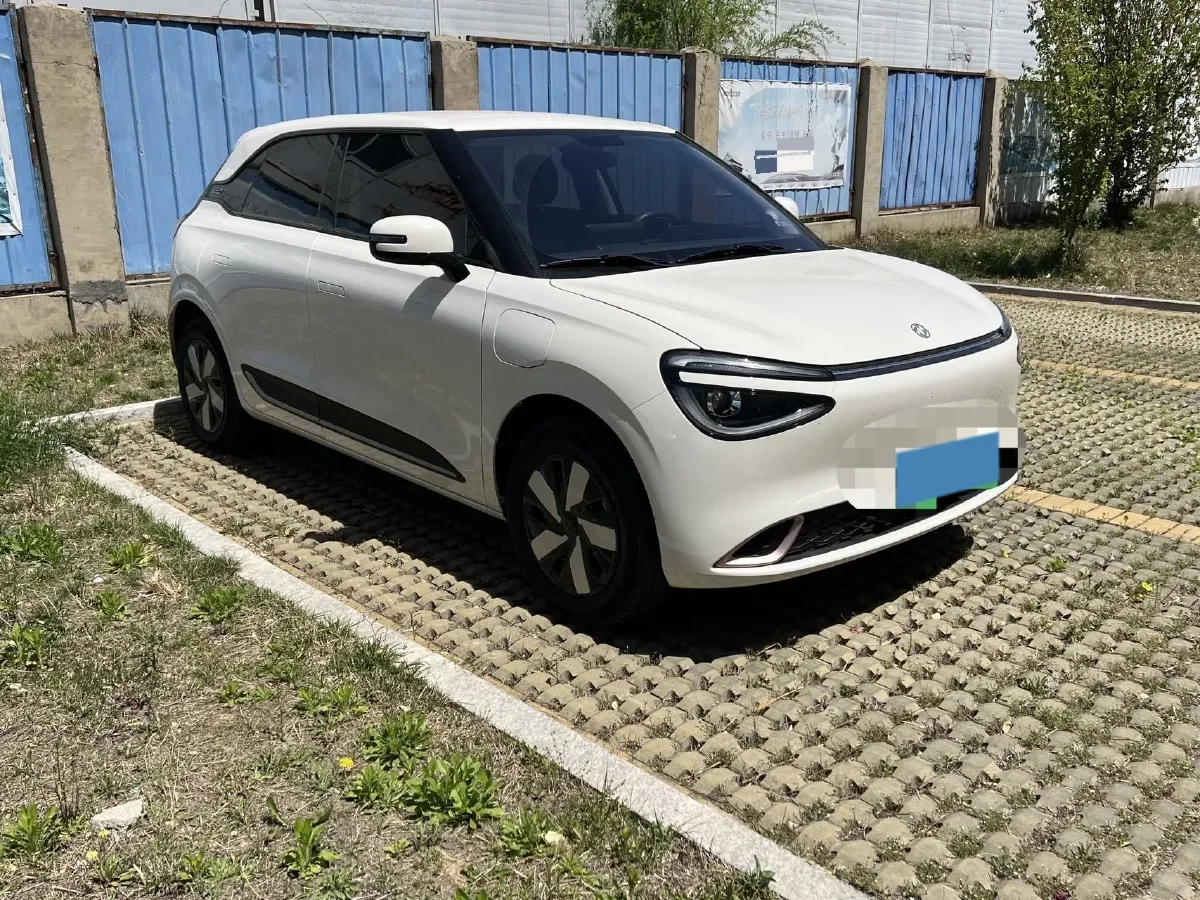 2025 DongFeng Nammi 01 BEV,autocango,china used car exporter,china ev exporter,chinese used car exporter,chinese used ev exporter