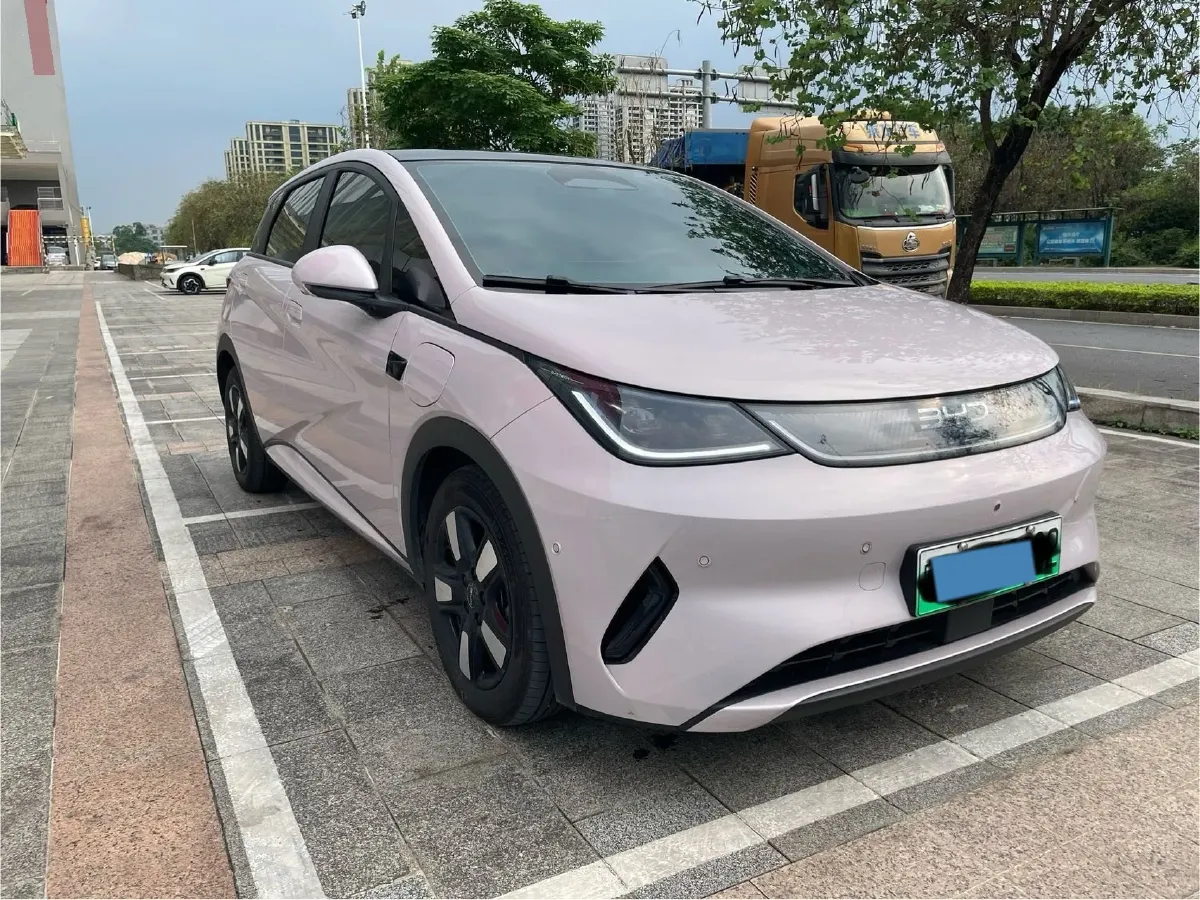 2025 BYD Dolphin BEV 45.12KWH,autocango,china used car exporter,china ev exporter,chinese used car exporter,chinese used ev exporter
