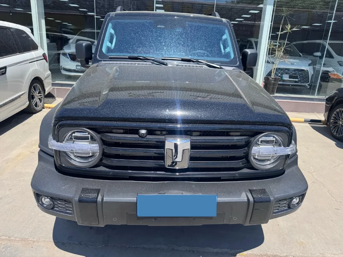 2025 Tank 300 2.0T 227HP L4 9AT,autocango,china used car exporter,china ev exporter,chinese used car exporter,chinese used ev exporter