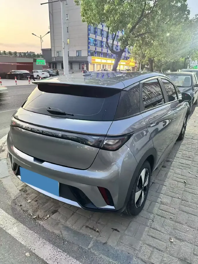 2023 BYD Dolphin BEV 44.928KWH,autocango,china used car exporter,china ev exporter,chinese used car exporter,chinese used ev exporter
