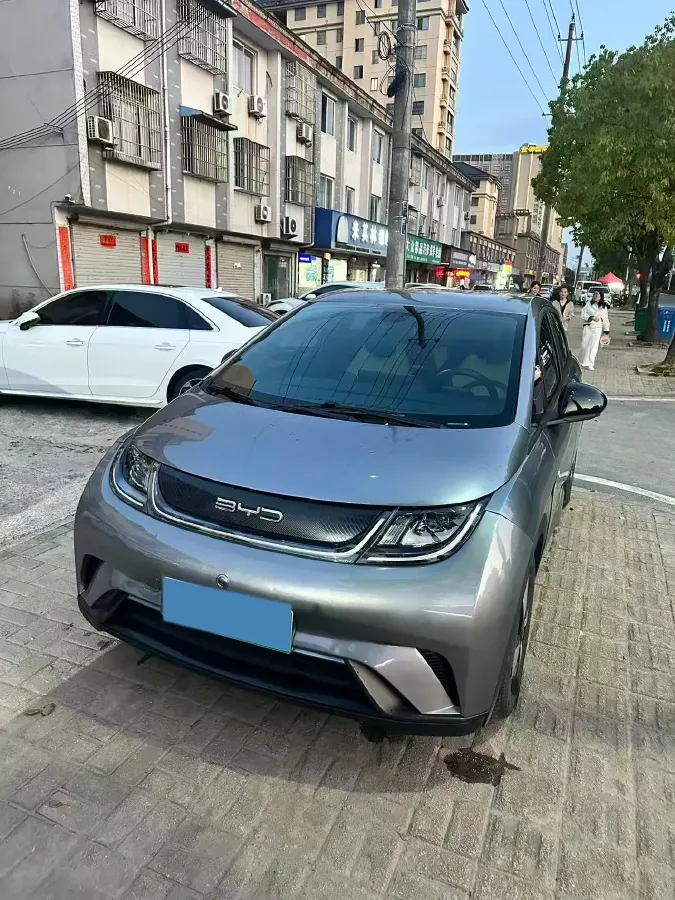 2023 BYD Dolphin BEV 44.928KWH,autocango,china used car exporter,china ev exporter,chinese used car exporter,chinese used ev exporter