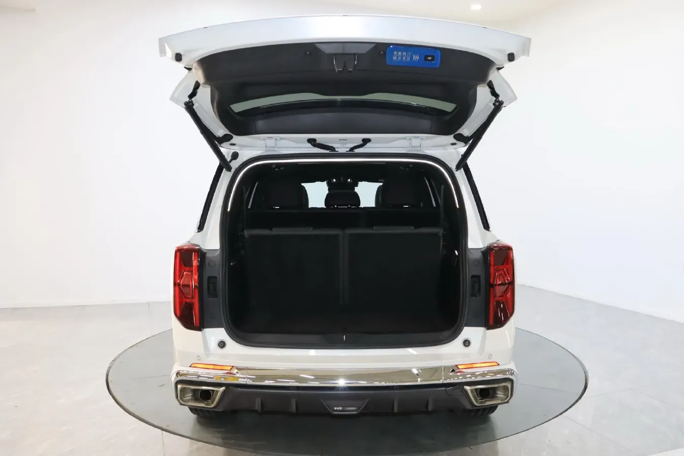 2024 GAC Trumpchi GS8 2.0T 190HP L4 E-CVT Hybrid,autocango,china used car exporter,china ev exporter,chinese used car exporter,chinese used ev exporter