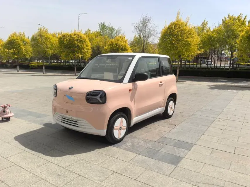 2024 ZD Rainbow BEV 17.18KWH,autocango,china used car exporter,china ev exporter,chinese used car exporter,chinese used ev exporter