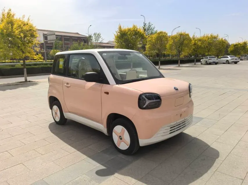 2024 ZD Rainbow BEV 17.18KWH,autocango,china used car exporter,china ev exporter,chinese used car exporter,chinese used ev exporter