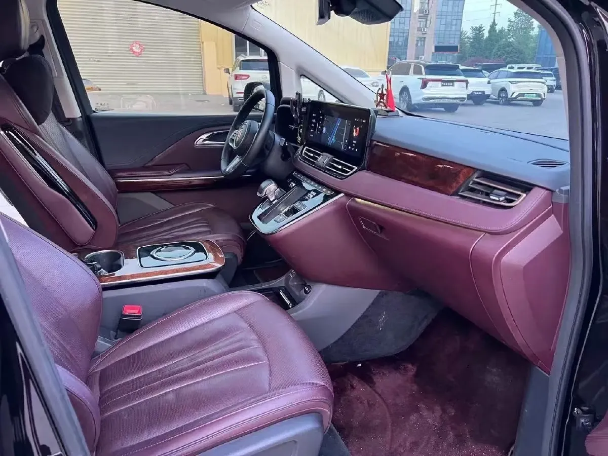 2023 HongQi HQ9 2.0T 252HP L4 8AT,autocango,china used car exporter,china ev exporter,chinese used car exporter,chinese used ev exporter