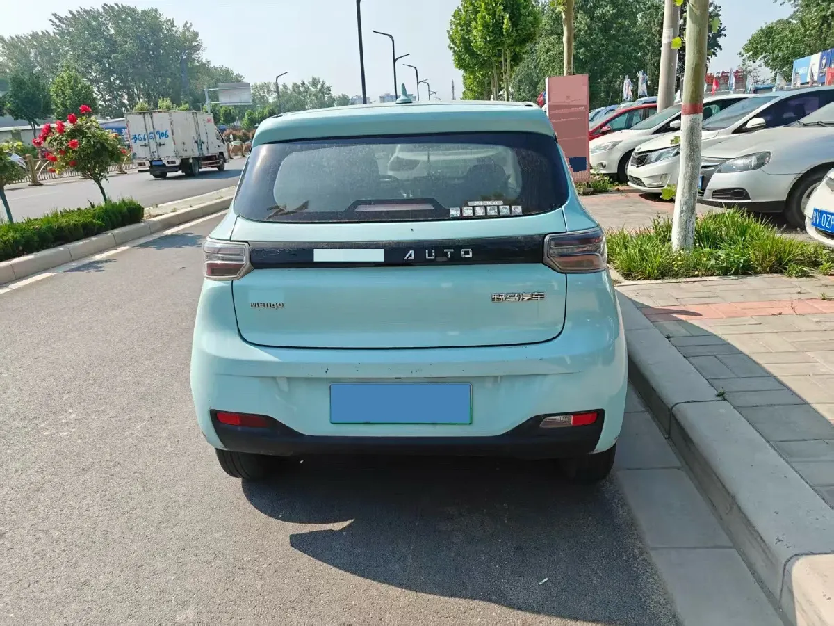 2021 Levdeo Mango BEV 17.28KWH,autocango,china used car exporter,china ev exporter,chinese used car exporter,chinese used ev exporter