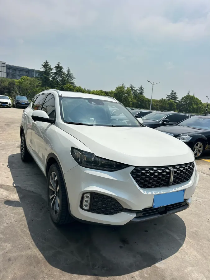 2021 WEY VV6 2.0T 227HP L4 7DCT,autocango,china used car exporter,china ev exporter,chinese used car exporter,chinese used ev exporter
