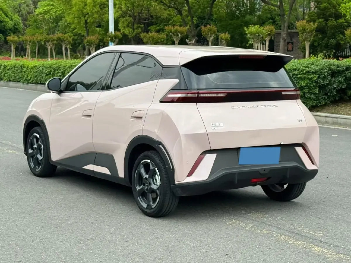 2024 BYD Seagull BEV 30.08KWH,autocango,china used car exporter,china ev exporter,chinese used car exporter,chinese used ev exporter