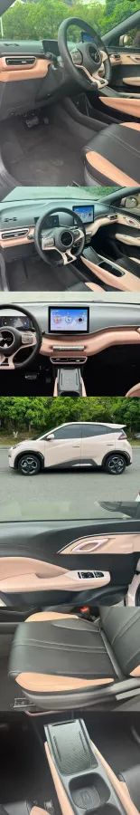 2024 BYD Seagull BEV 30.08KWH,autocango,china used car exporter,china ev exporter,chinese used car exporter,chinese used ev exporter