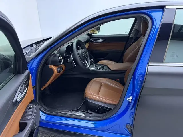 2017 Ford Mustang 2.3T 314HP L4 6AT,autocango,china used car exporter,china ev exporter,chinese used car exporter,chinese used ev exporter